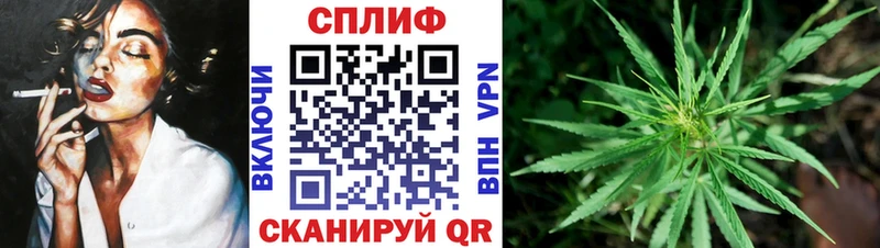 Канабис конопля  кракен зеркало  Судогда 